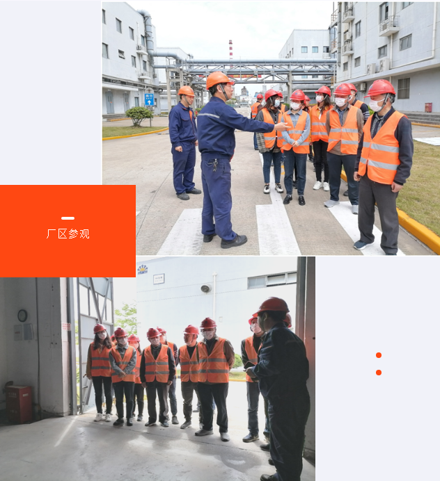 image003.png image003.png