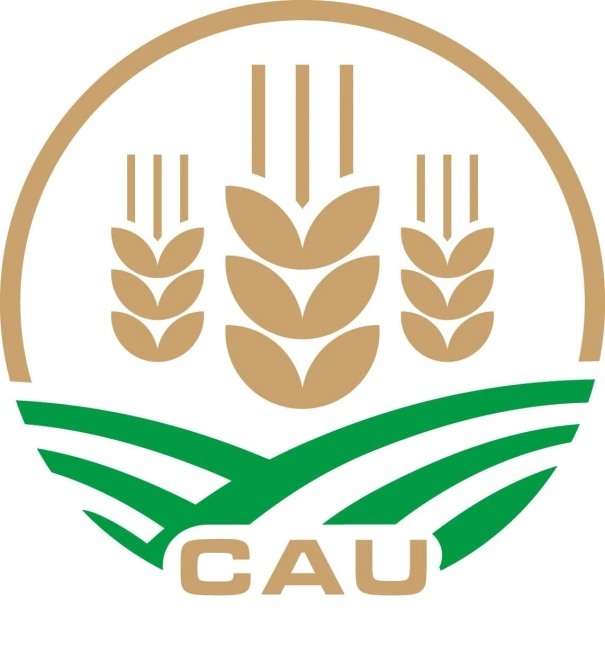 圖片11.png 圖片11.png